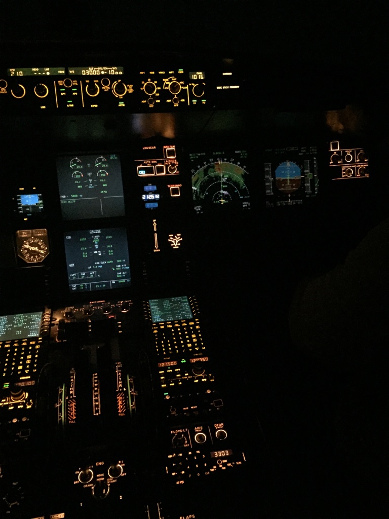 photo vue cockpit